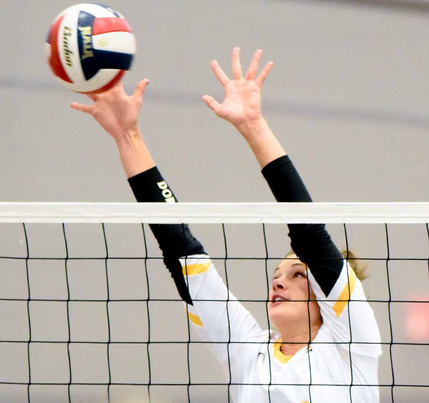 Volleyball Dordt vs. Wayland Baptist